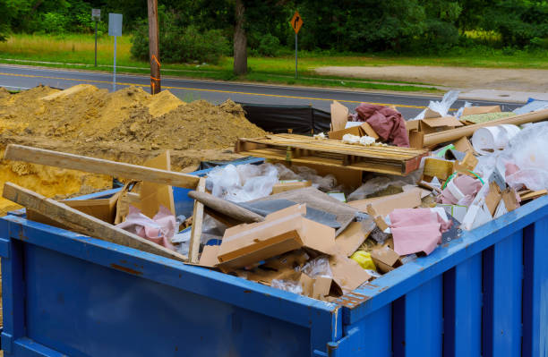Best Shed Removal  in Salamanca, NY